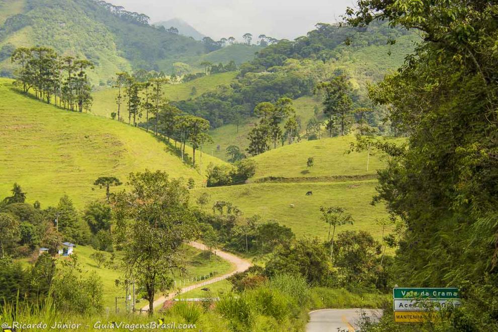 Imagem de morro verdinho com belas árvores em Visconde de Mauá.